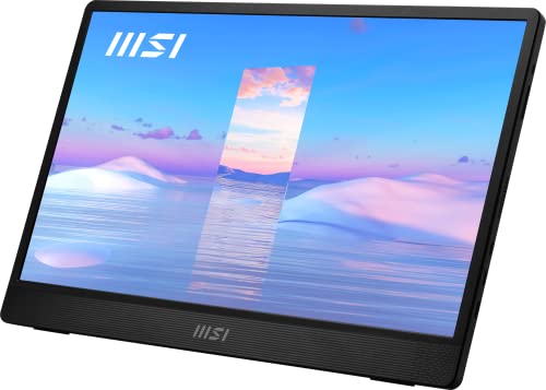 Msi Portable Monitor