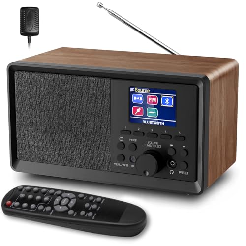 Biaoqinbo Dab Radio Mit Bluetooth