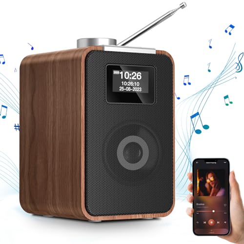 Wholede Dab Radio Mit Bluetooth